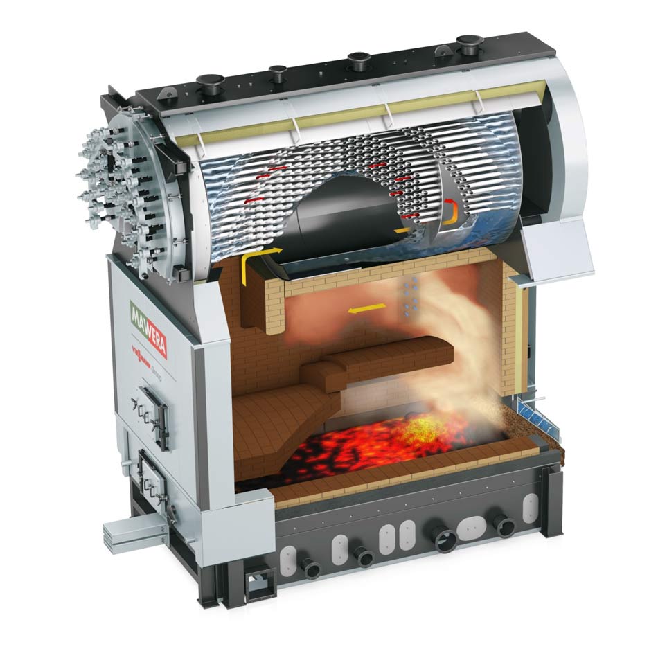 Biomass‑fired steam boiler