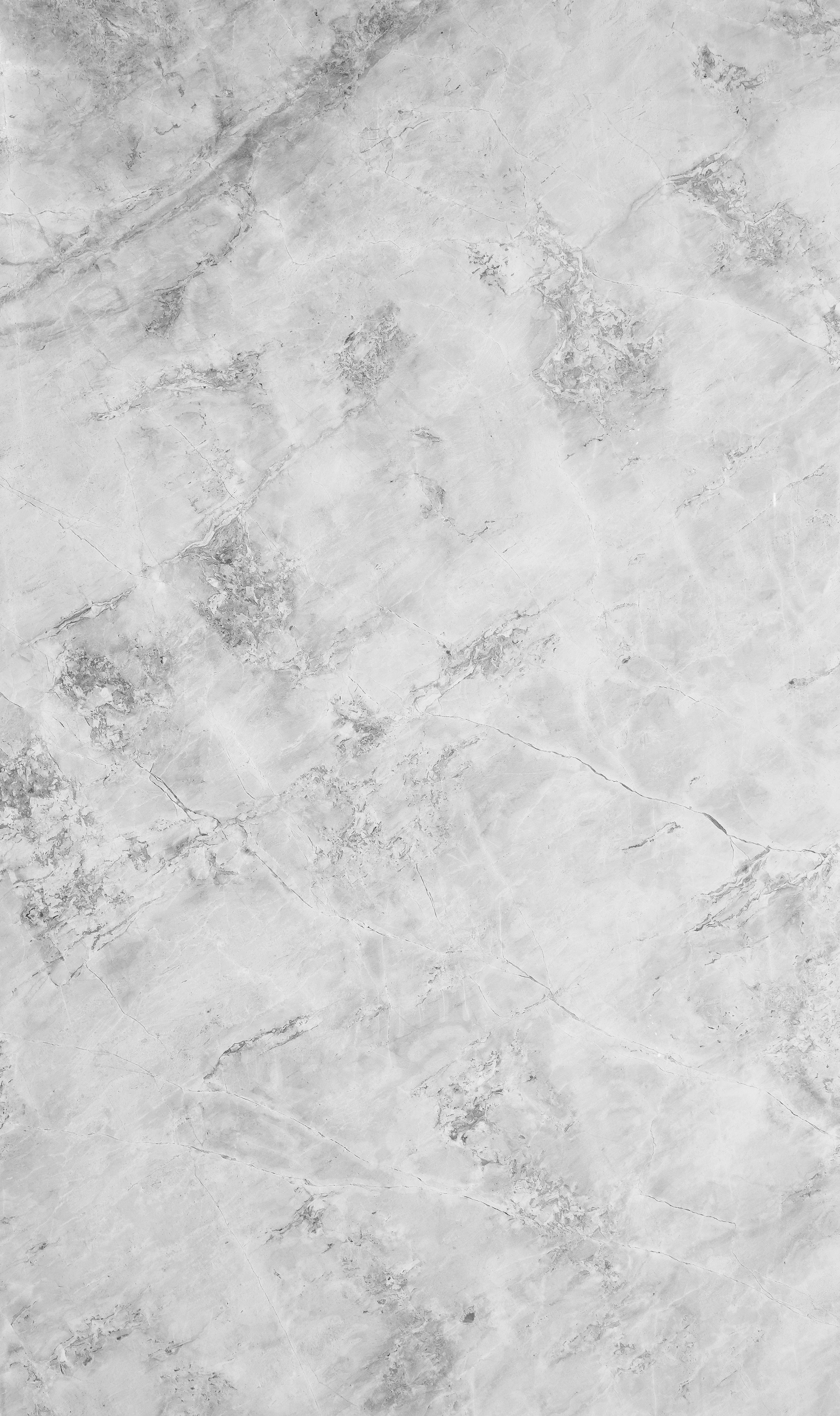 Fields background